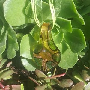 NEW 💚Murano Glass Necklace 💚